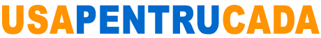Usapentrucada.ro